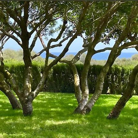 Angolo Di Paradiso